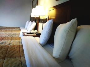 2Q-EXEC-SLEEPER SOFA-CORNER - 2 at Madelia Hotel & Suites in Madelia